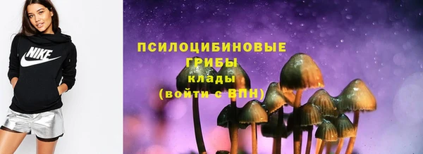 прущие грибы Алексин