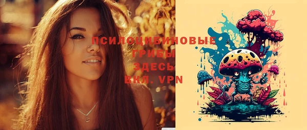 первитин Алексеевка