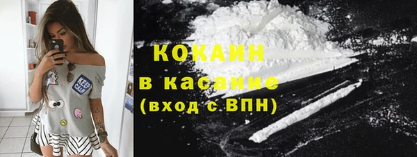 прущие грибы Алексин