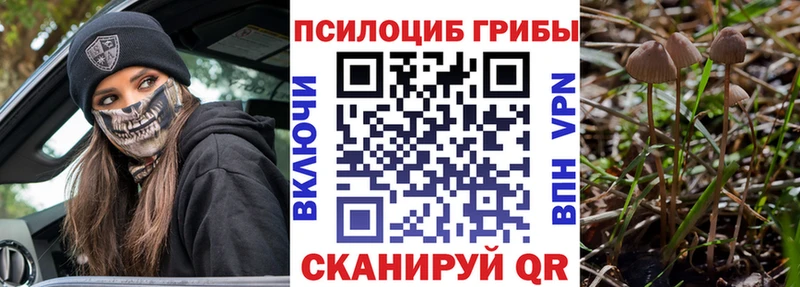 Псилоцибиновые грибы Psilocybe  гидра tor  Анжеро-Судженск 