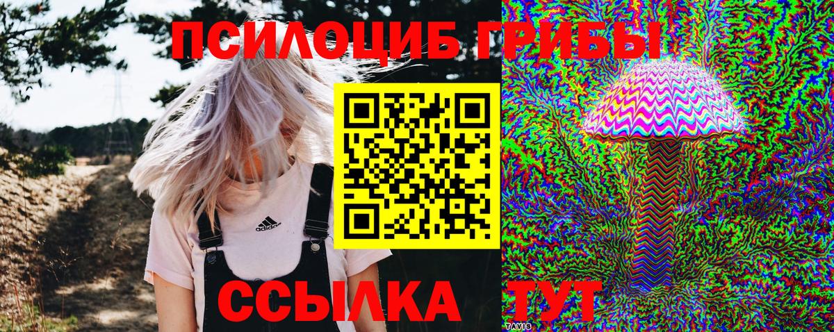 Анжеро-Судженск  Галлюциногенные грибы MAGIC MUSHROOMS  Вход с VPN 